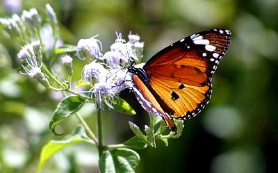 Kairen's_Tibet_281_2001-10-05 15.58.33 IMG_5683.JPG